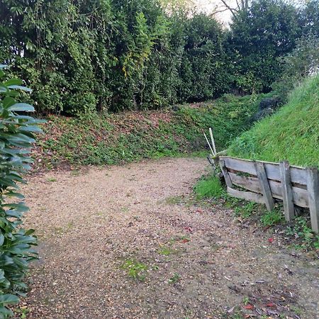 Gite Des Petites Ruelles : Familial Et Chaleureux Trôo Esterno foto
